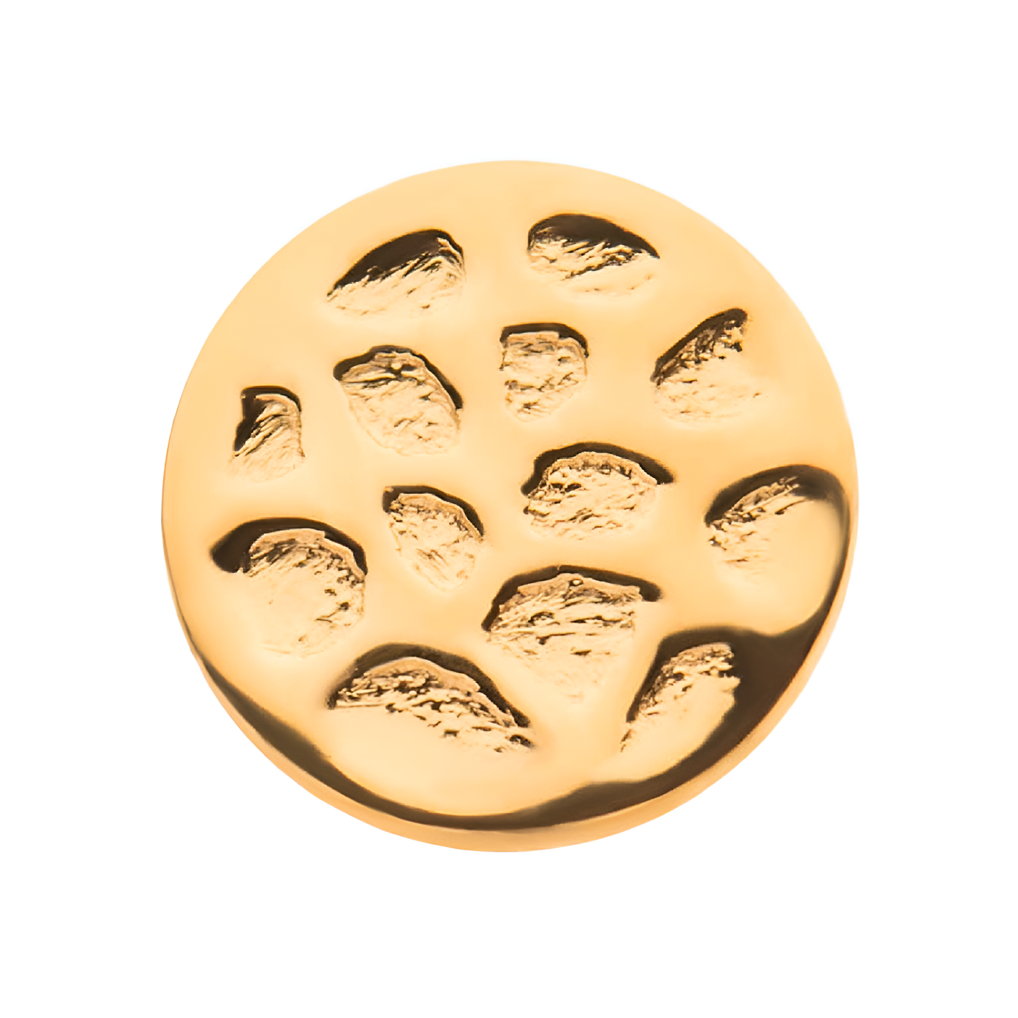 24Kt Gold PVD Titanium Threadless Hammered Disk Top