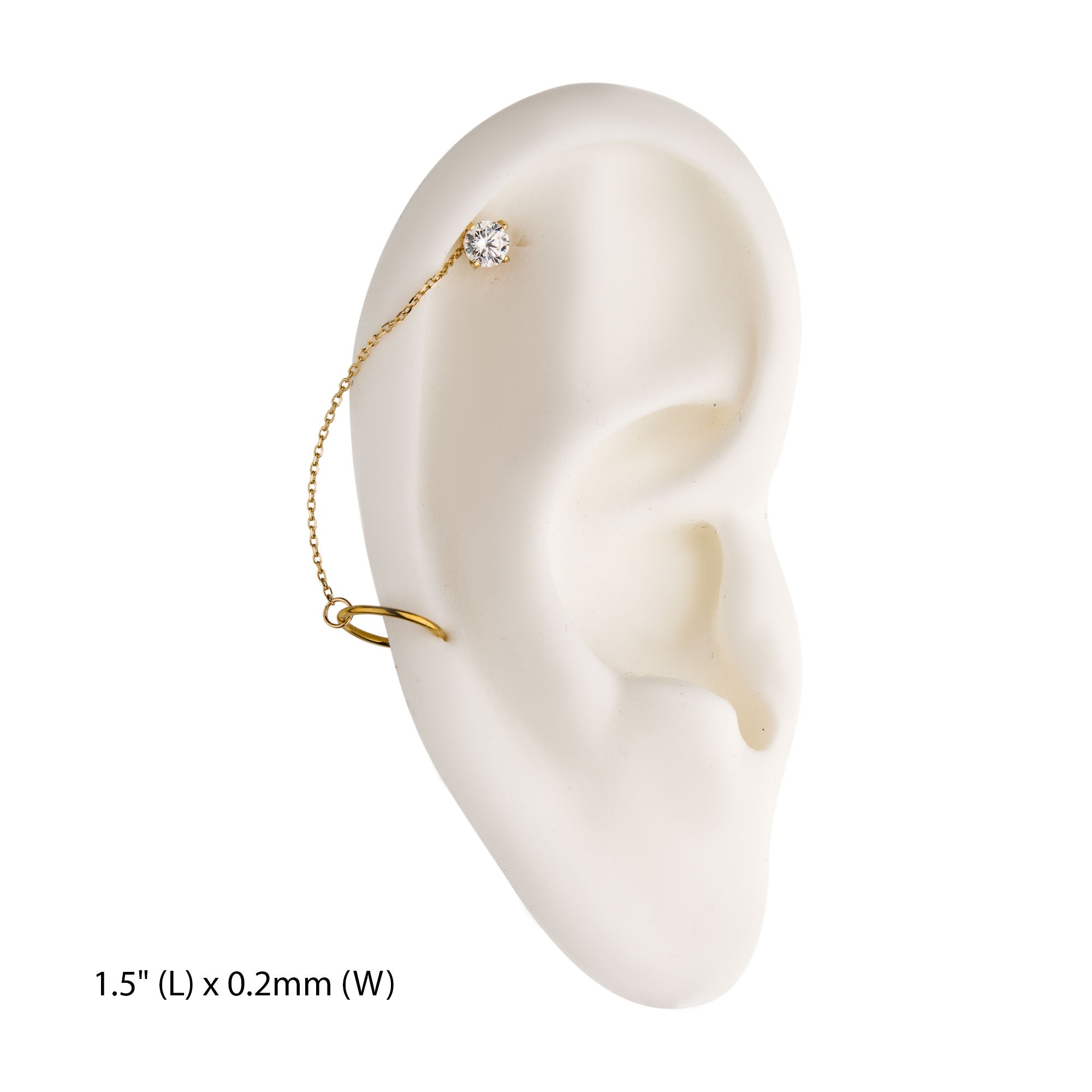 14Kt Gold Rolo Chain