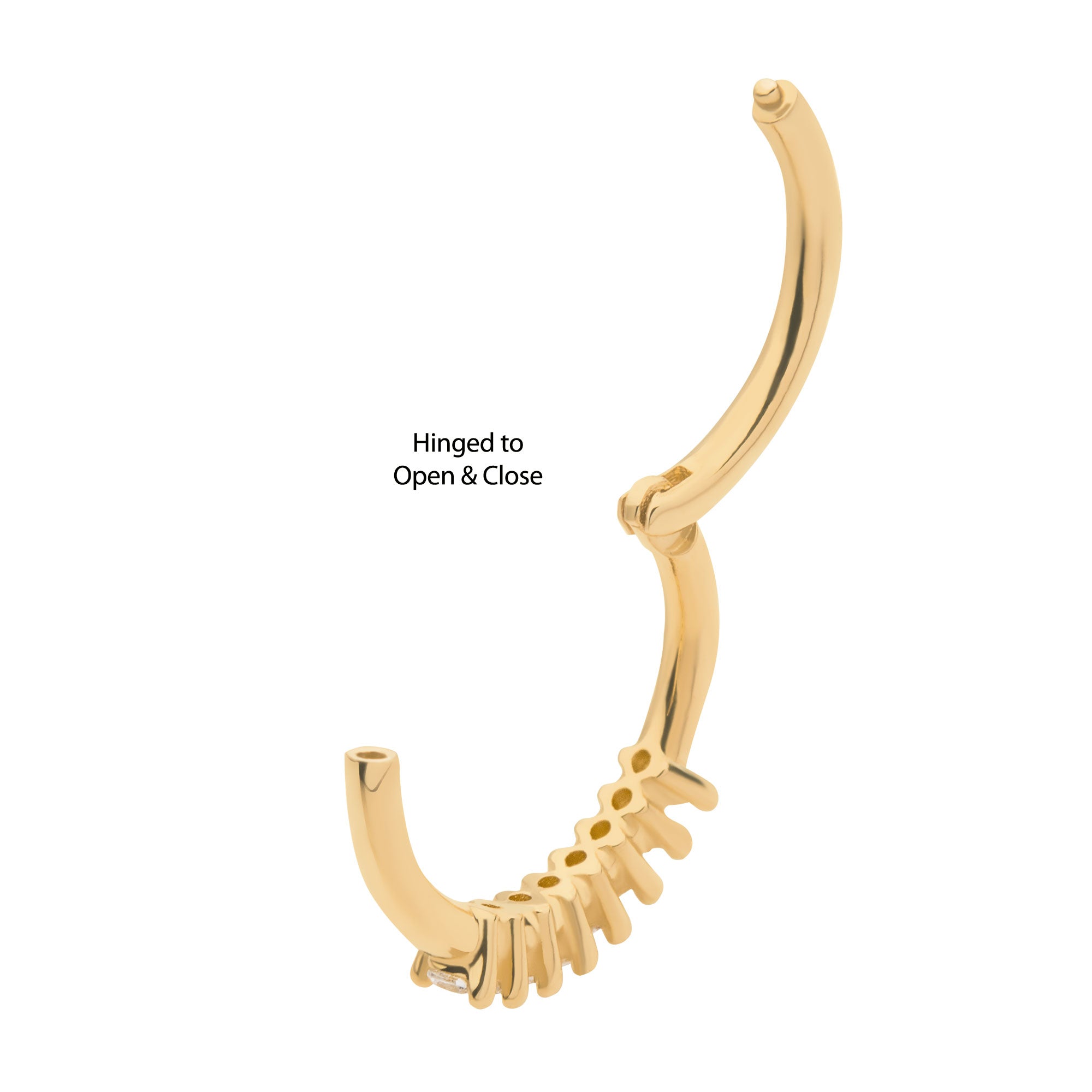 14kt Yellow Gold Cluster CZ Beaded Edge Side Facing Hinged Segment Clicker