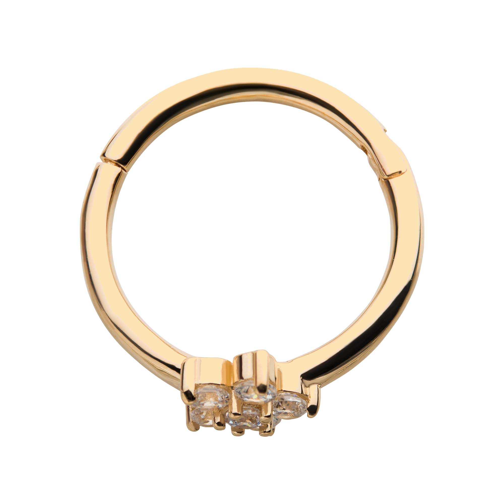 14kt Gold Centered Prong CZ Flower Side Facing Hinged Segment Clicker