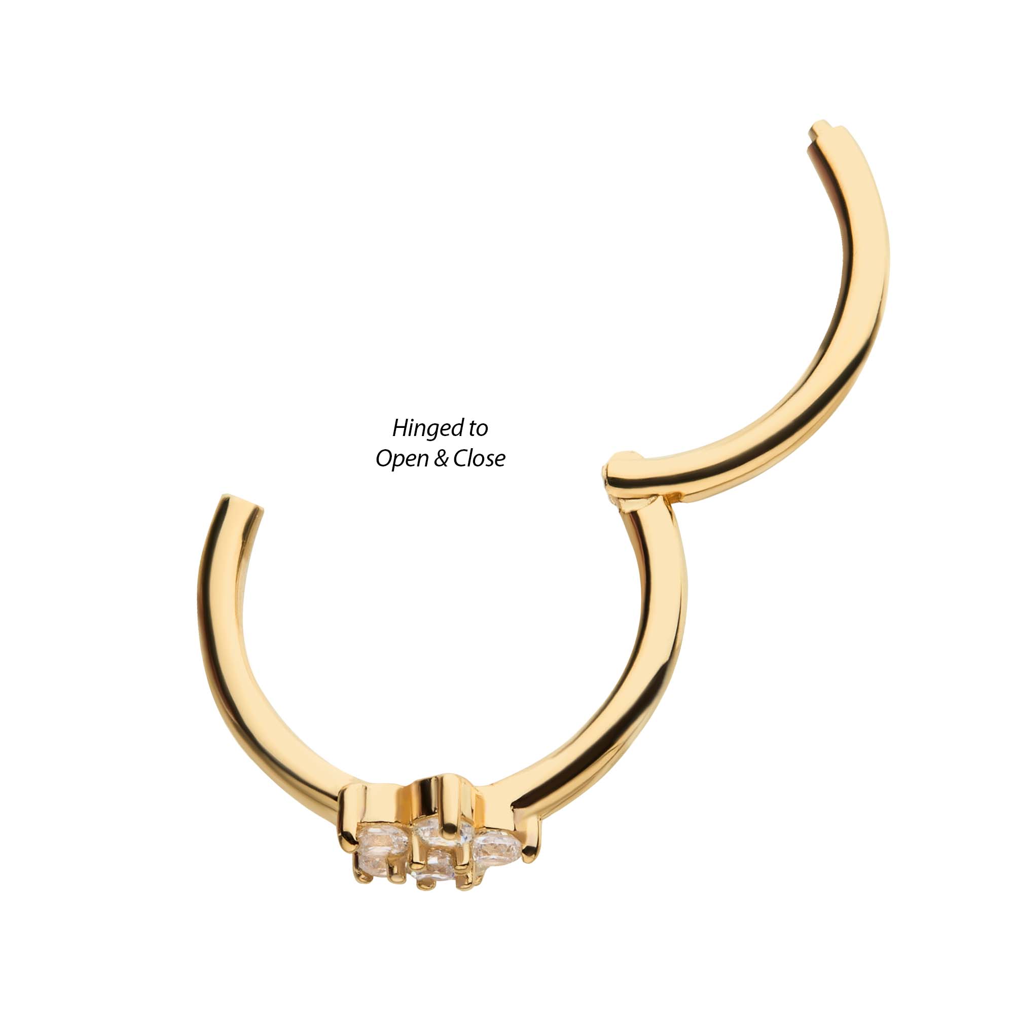 14kt Gold Centered Prong CZ Flower Side Facing Hinged Segment Clicker