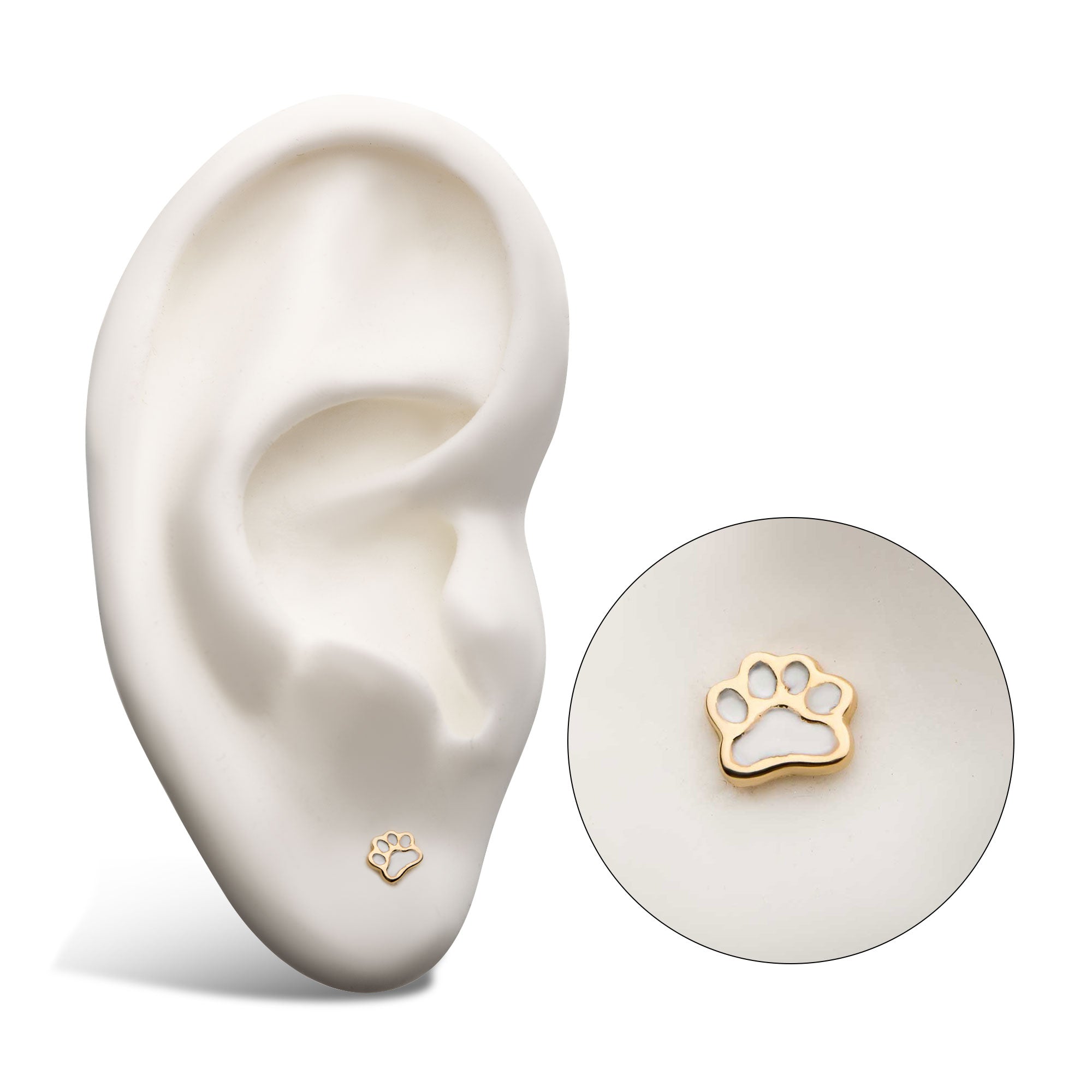 14kt Yellow Gold Threadless White Enamel Dog Paw Top