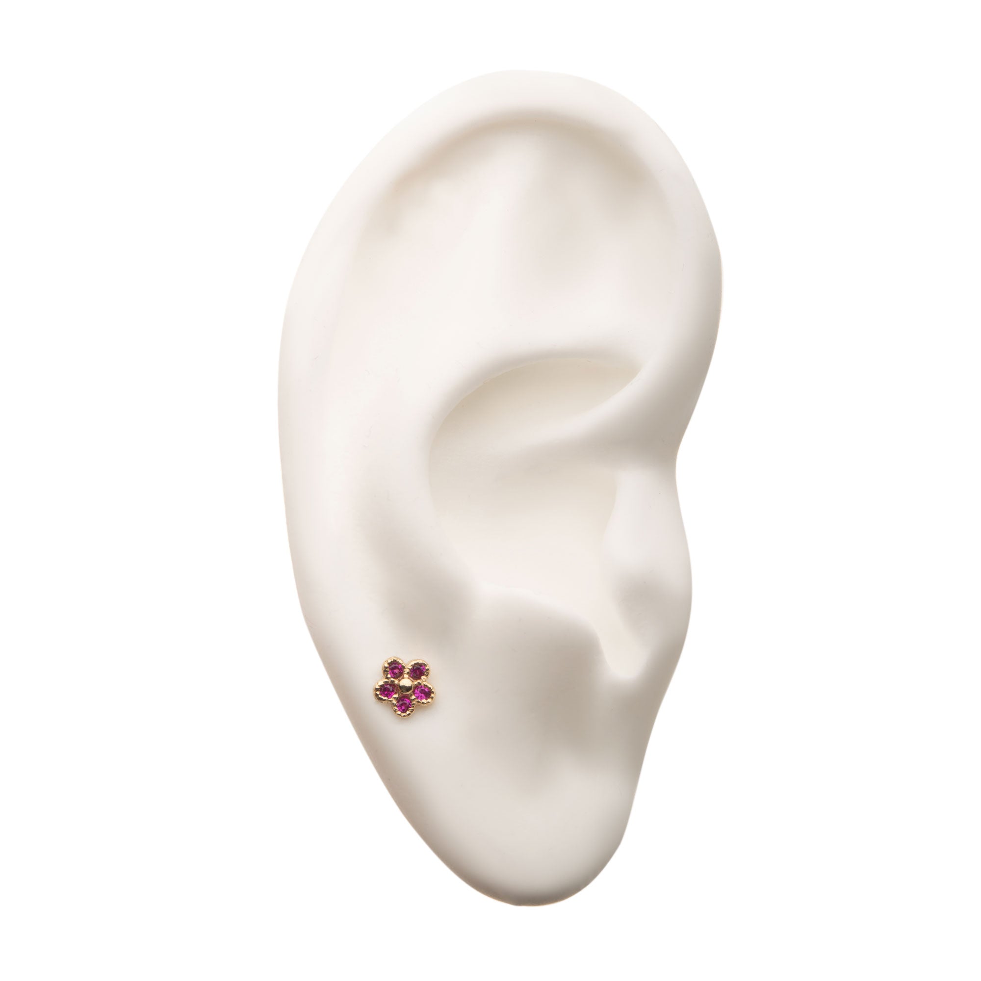 14kt Yellow Gold Threadless CZ Five Petal Flower Top Fuchsia