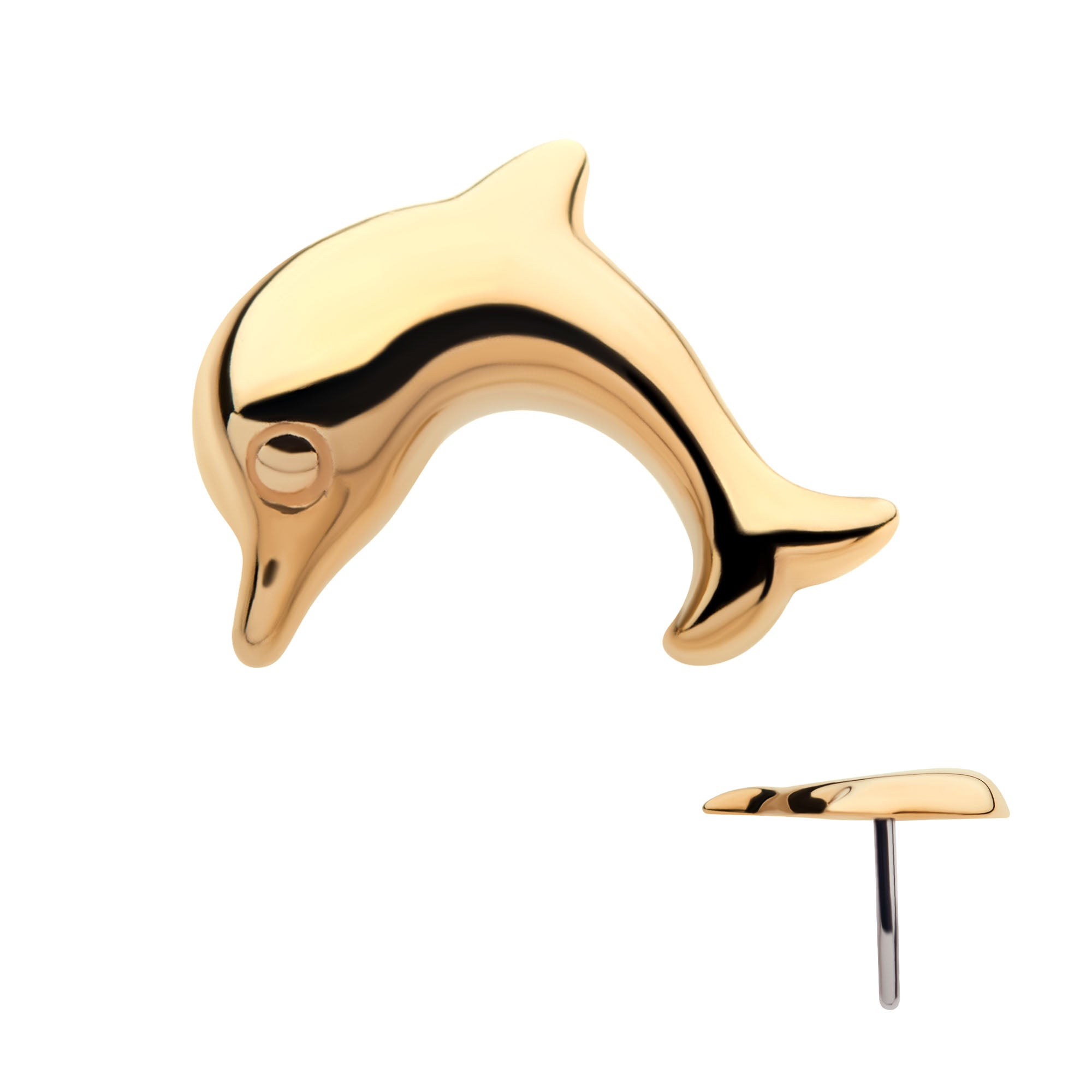 14kt Yellow Gold Threadless Dolphin Top