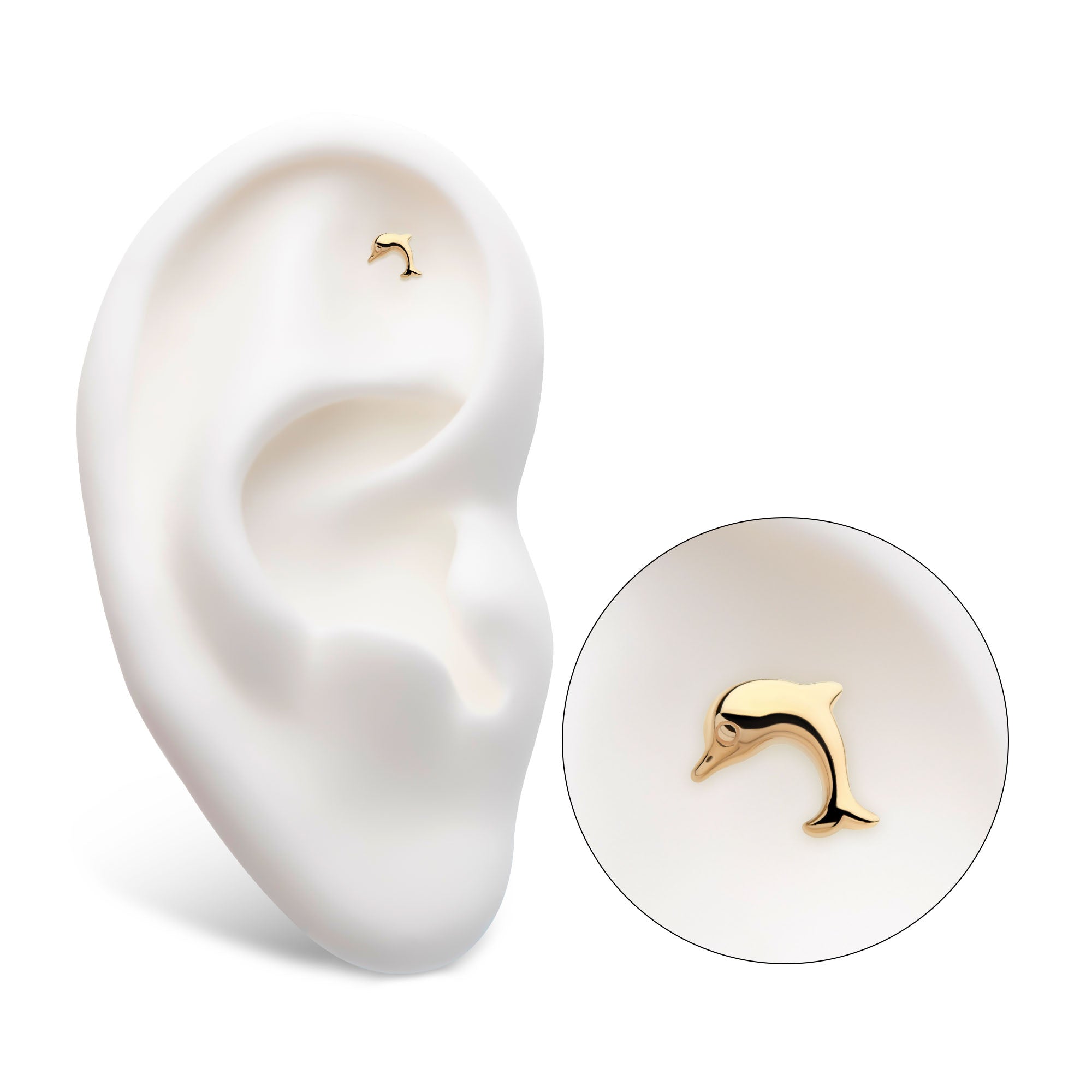 14kt Yellow Gold Threadless Dolphin Top