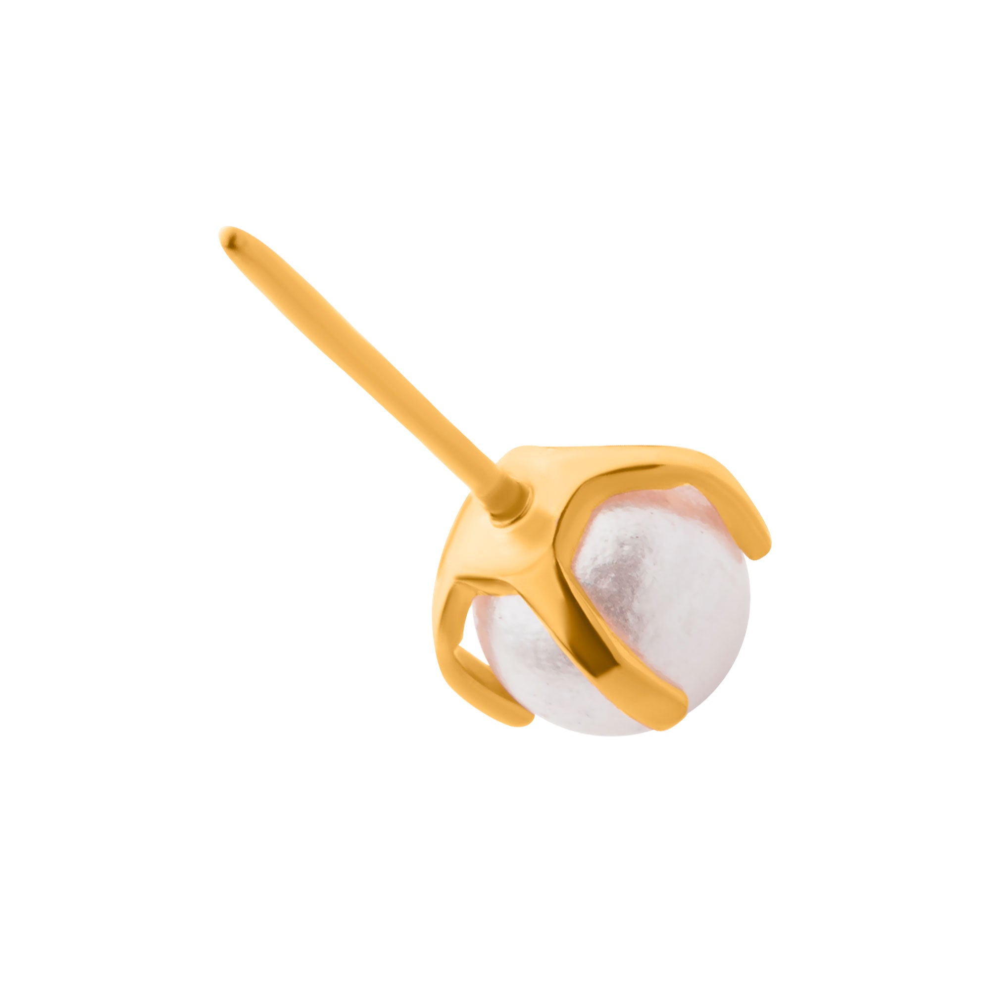 24Kt Gold PVD Titanium Threadless Prong Set White Pearl Top