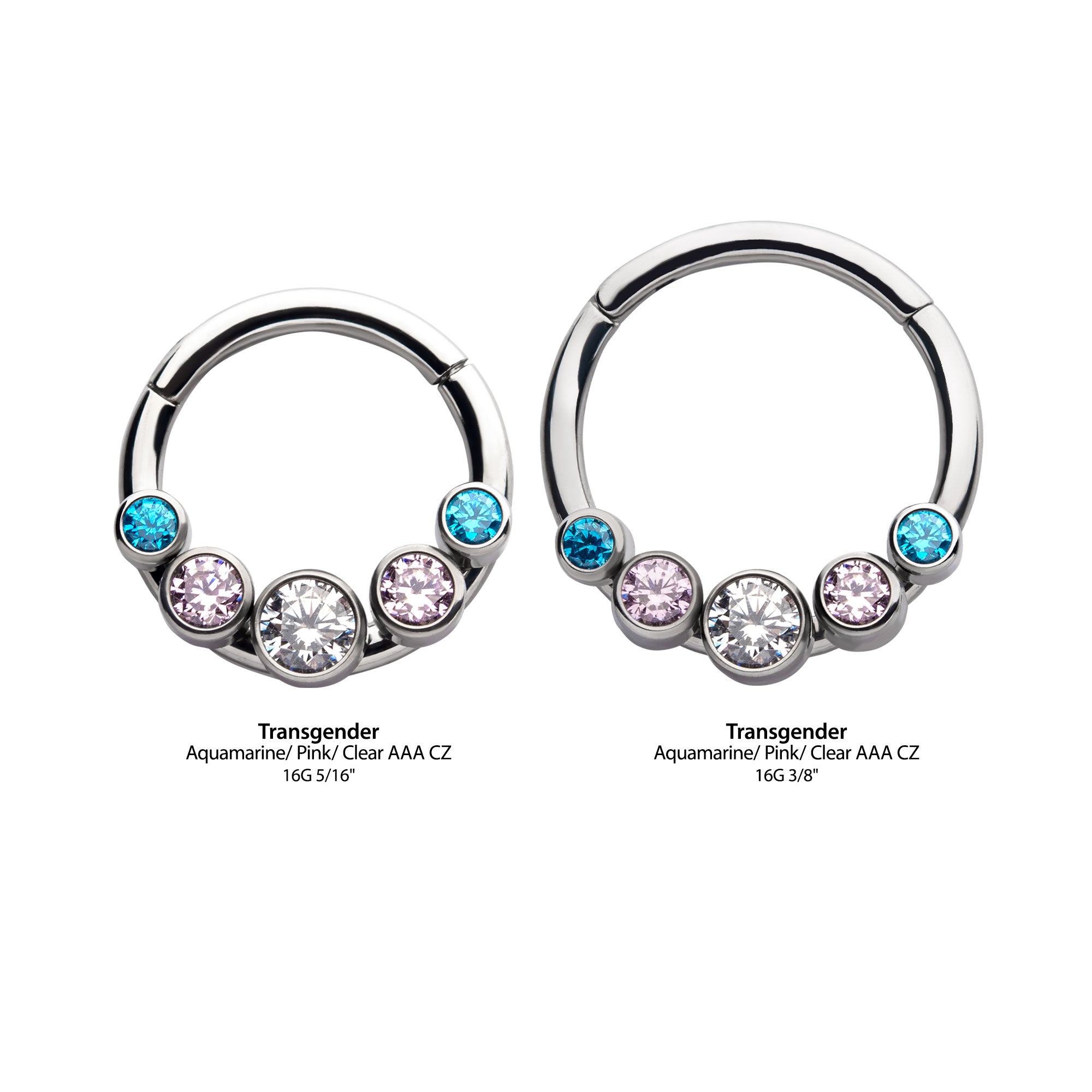 Titanium Transgender Bezel CZ Front Facing Hinged Segment Clicker