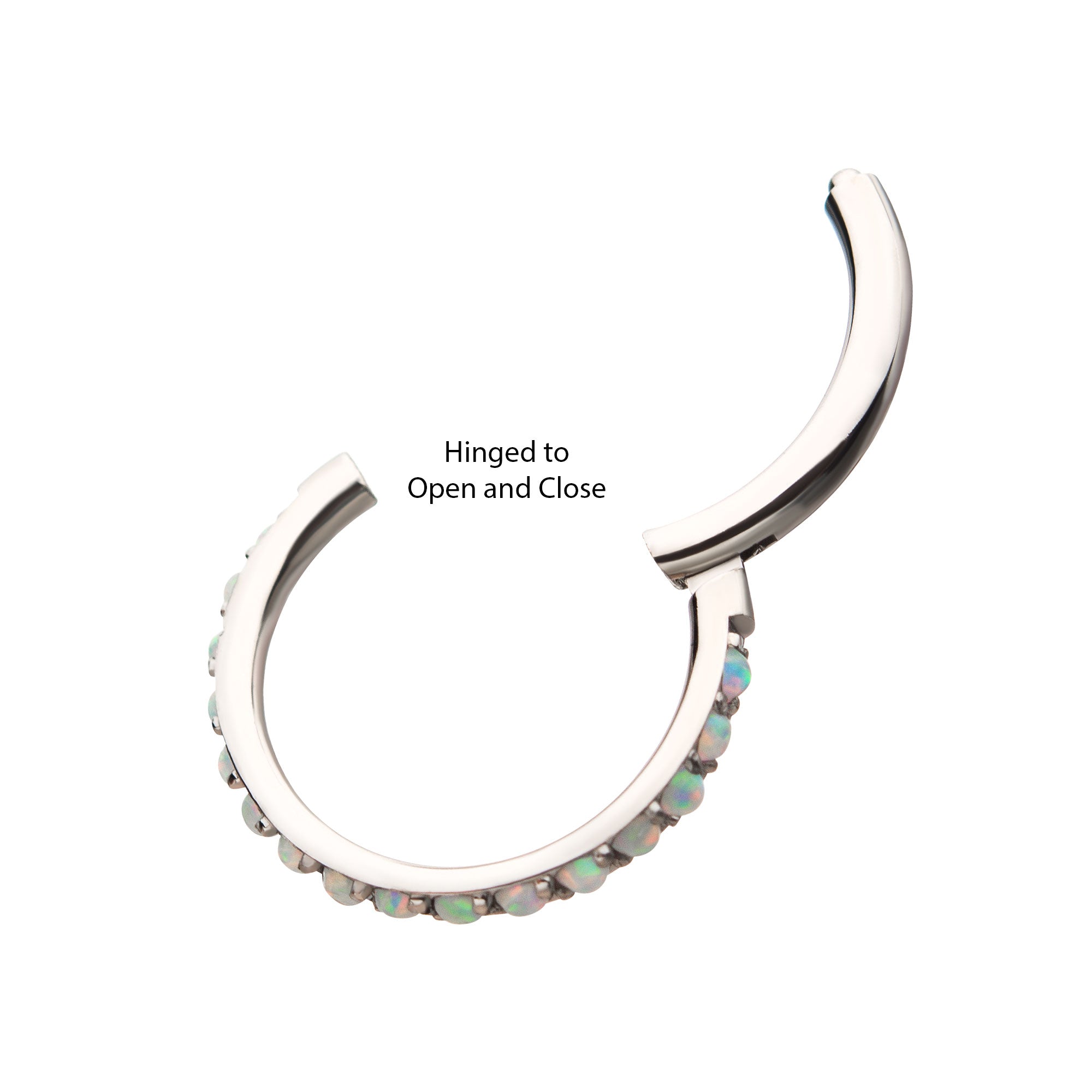 Titanium Clear CZ Eternity Gem Side Facing Hinged Segment Clicker