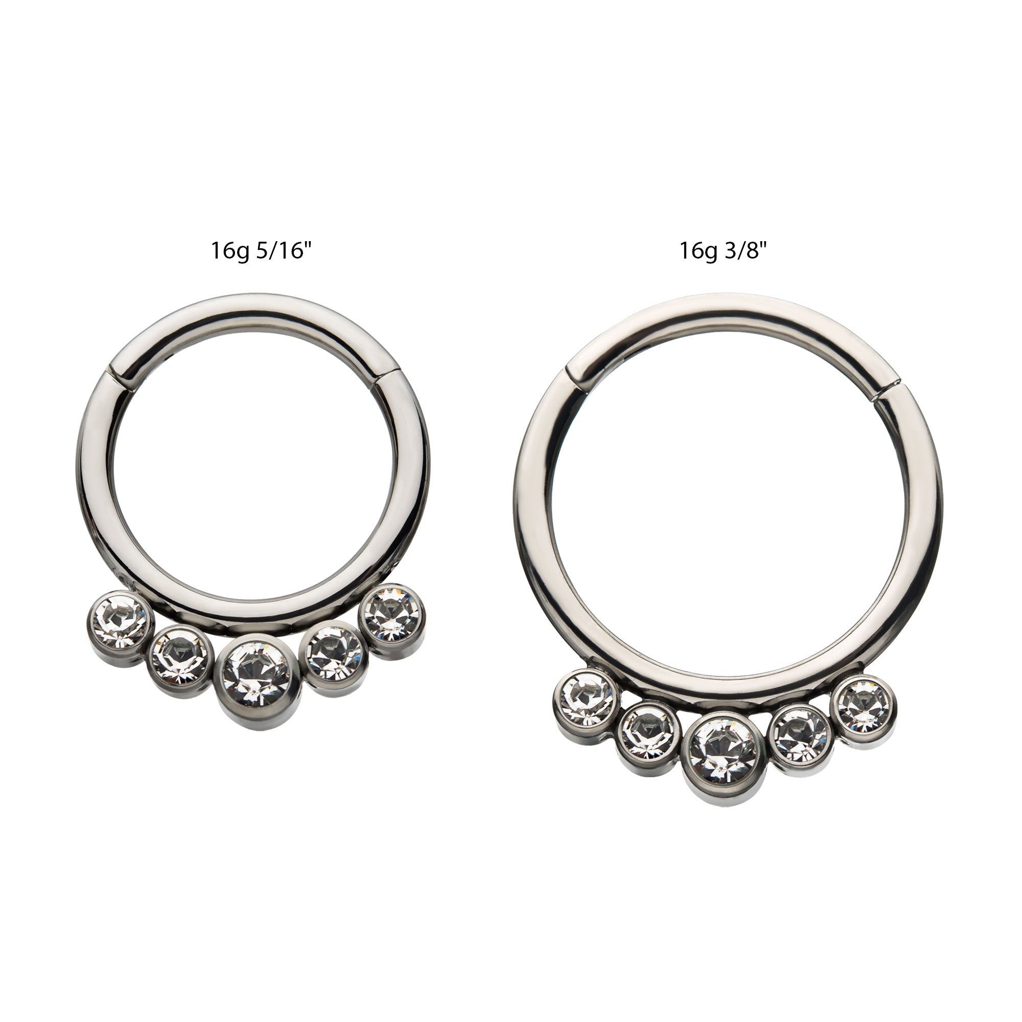 Titanium Cluster CZ/Opal Front Facing Hinged Segment Clicker Clear