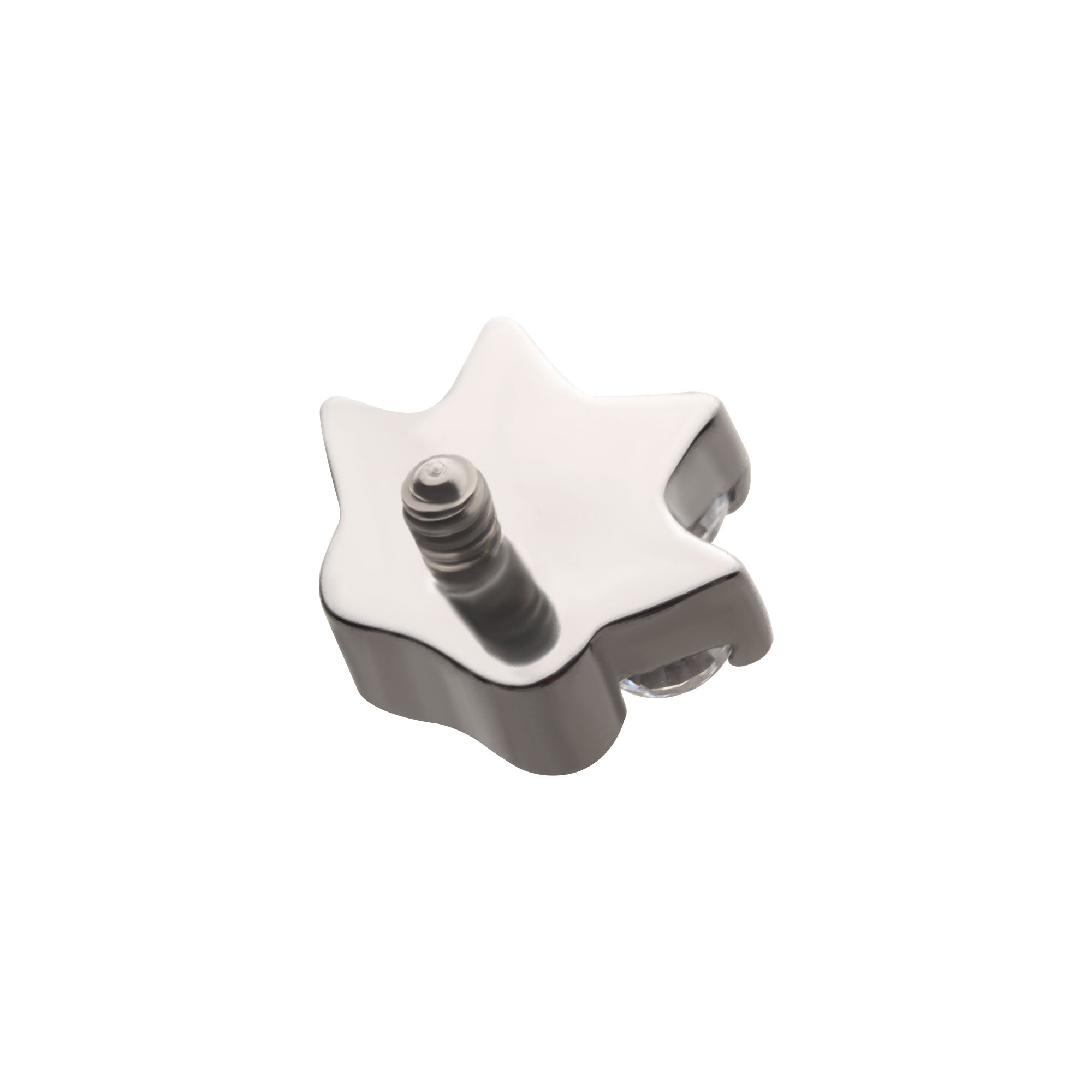 Titanium Internally Threaded with Paw Top