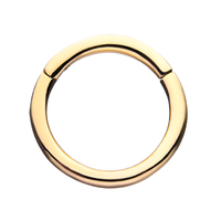 14kt Gold Hinged Segment Clicker