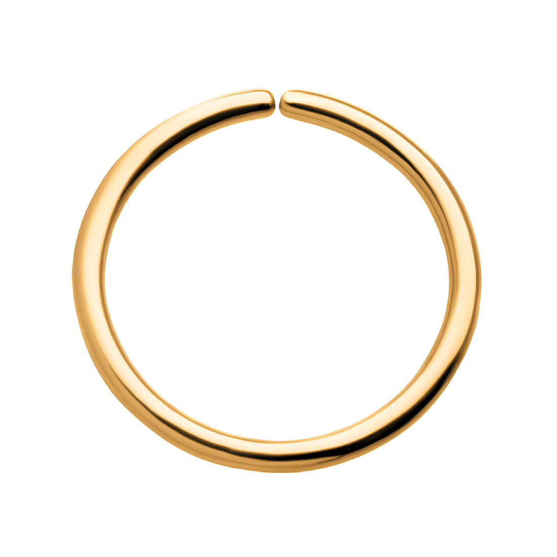 24Kt Gold PVD Titanium Seamless Split Ring