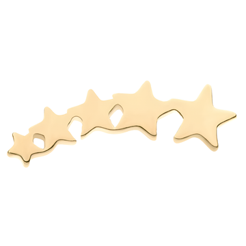 14kt Yellow Gold Threadless 5-Cluster Star Top