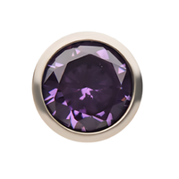 20g Titanium Bezel Set CZ Stud Earrings Amethyst