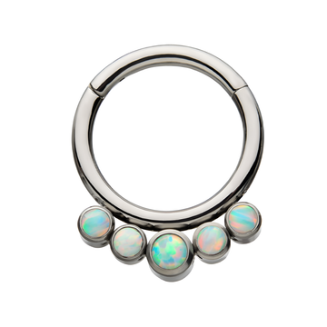 Titanium Cluster CZ/Opal Front Facing Hinged Segment Clicker White Opal