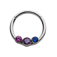 Titanium Bi-Trans-Pan Bezel CZ Front Facing Hinged Segment Clicker Ruby Pink|Amethyst|Burman Blue