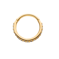 14kt Gold Multi-Clear CZ Hinged Segment Clicker Yellow Gold