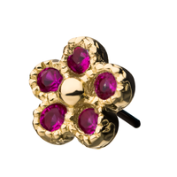 14kt Yellow Gold Threadless CZ Five Petal Flower Top Fuchsia