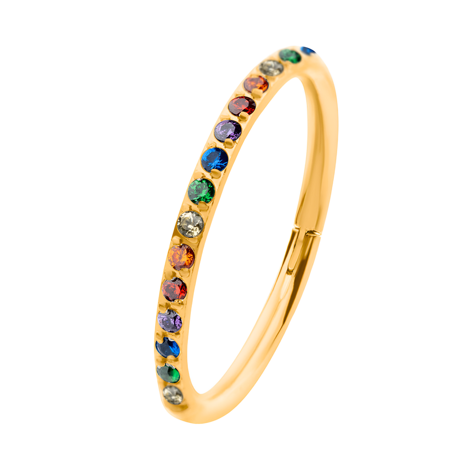 24kt Gold PVD Titanium Rainbow Eternity CZ Side Facing Hinged Segment Clicker