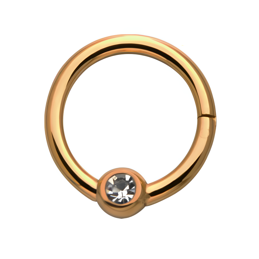 24kt Gold PVD Titanium Bezel Clear CZ Hinged Segment Ring