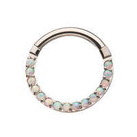 Titanium Front Facing Clear Eternity Gem Hinged Segment Clicker White Opal