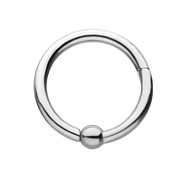 Titanium 3mm Ball Hinged Segment Ring