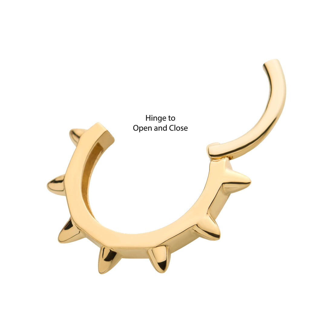 14kt Yellow Gold Spike Edge Front Facing Hinged Segment Clicker
