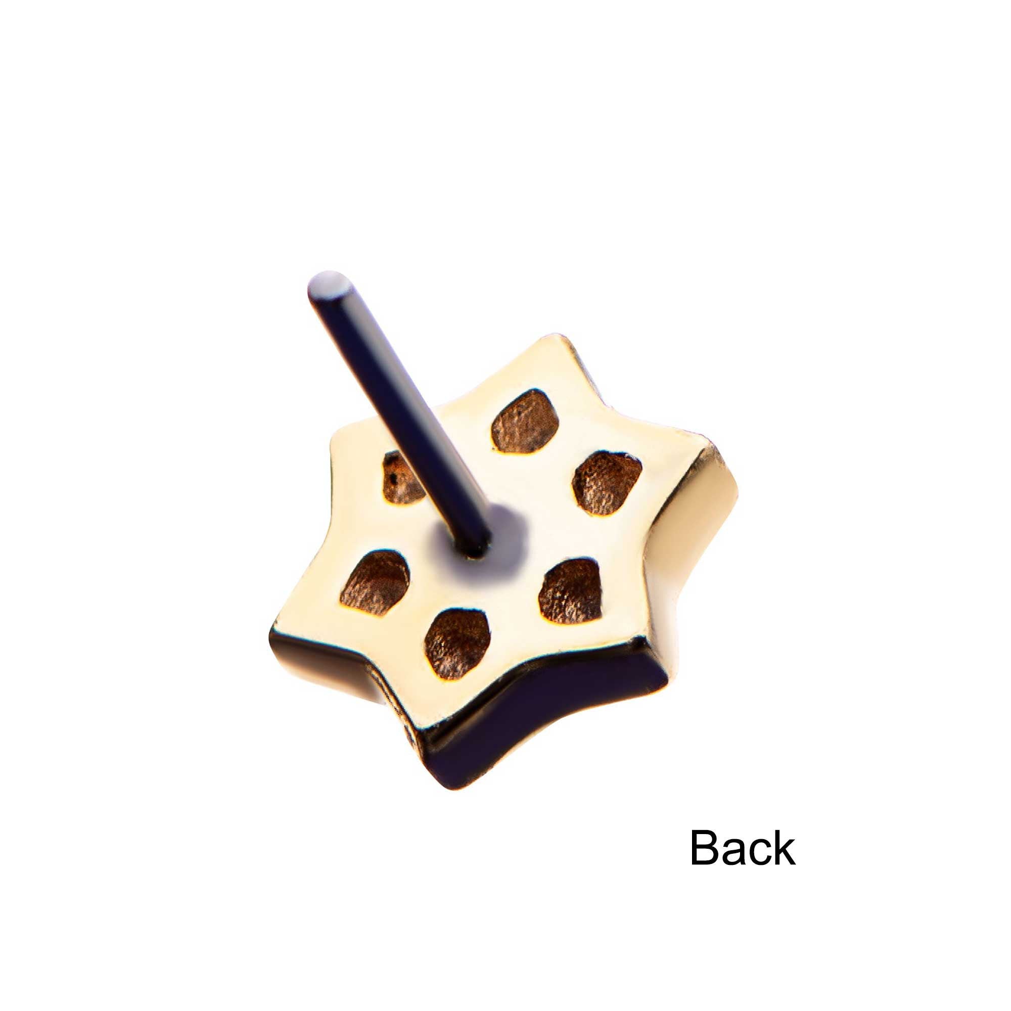 14kt Yellow Gold Threadless Holo Flower Clear CZ Top