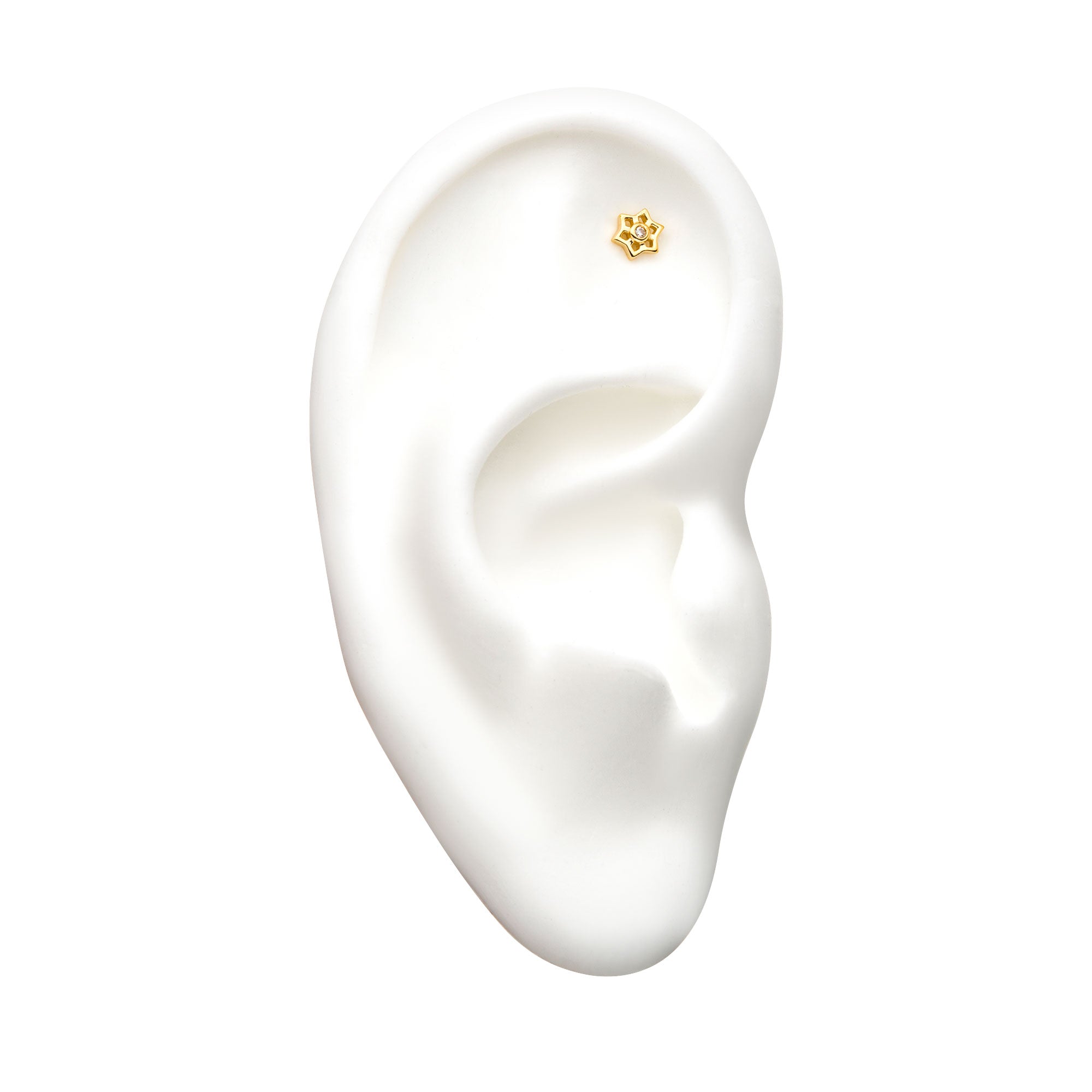 14kt Yellow Gold Threadless Holo Flower Clear CZ Top