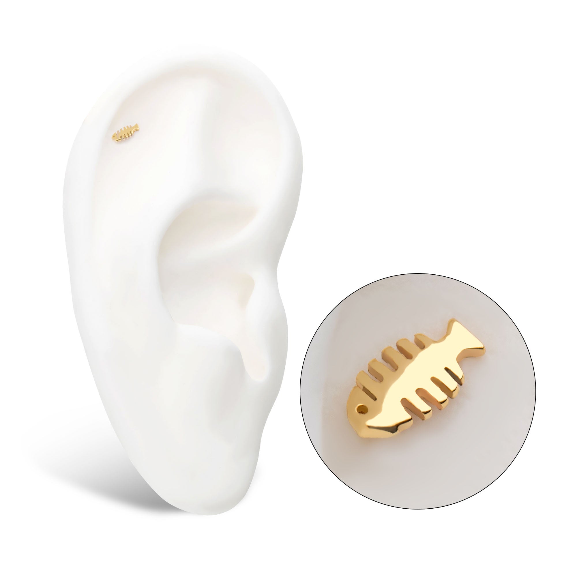 14kt Yellow Gold Threadless Fish Bone Top