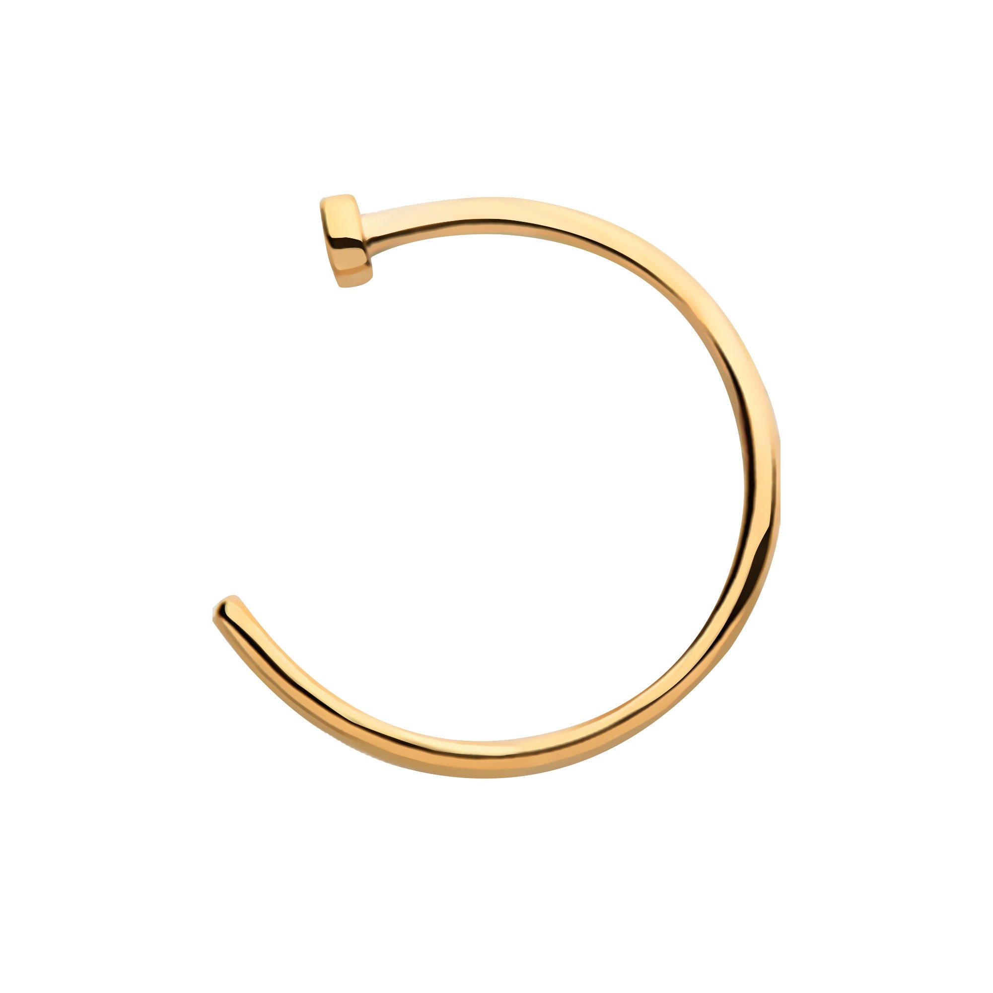 24KT Gold PVD Titanium Flat Back Nose Ring
