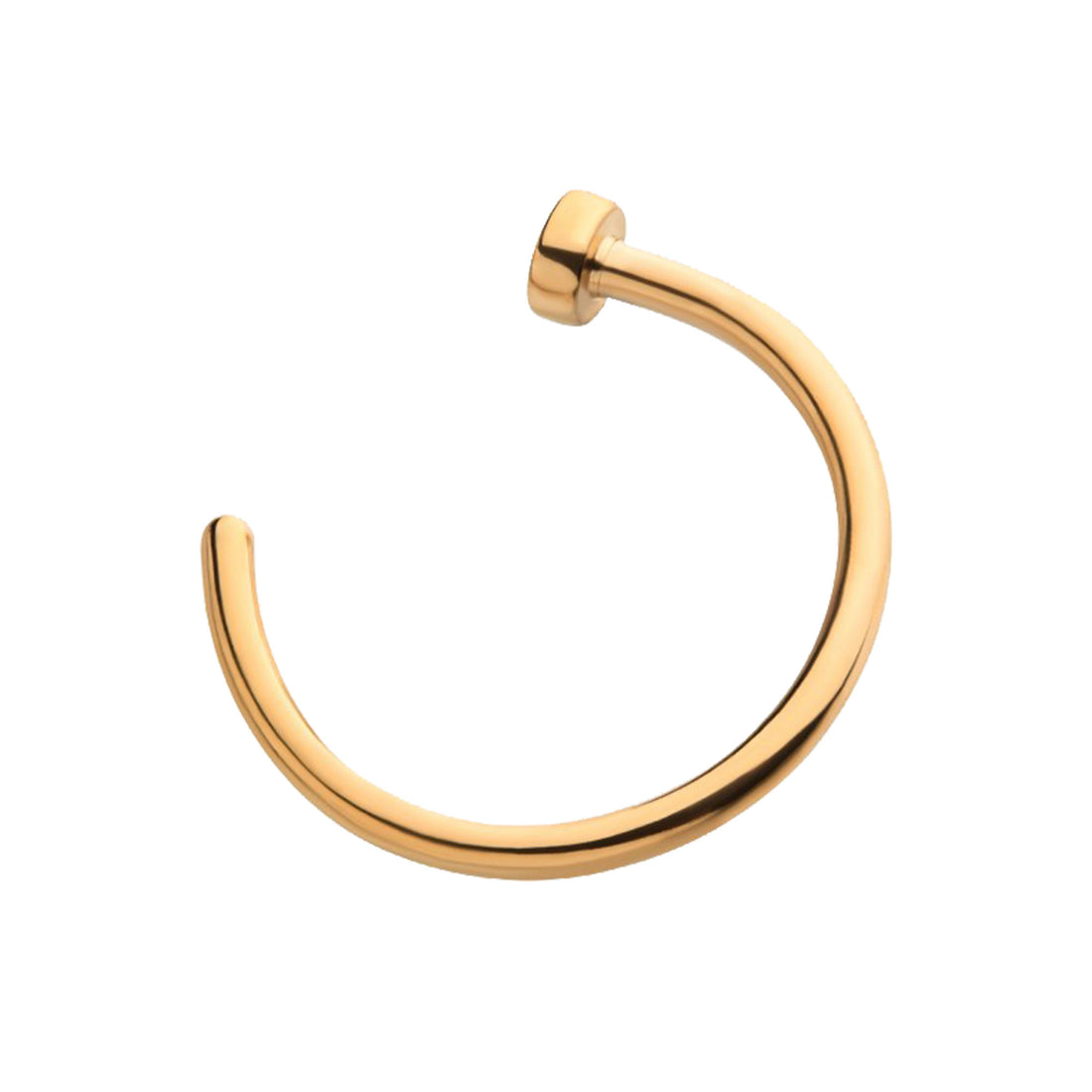 24KT Gold PVD Titanium Flat Back Nose Ring