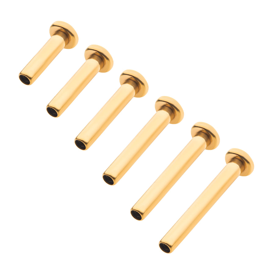 24K Gold PVD Titanium Internally Threaded Micro Labret Pin with 2.5mm Base