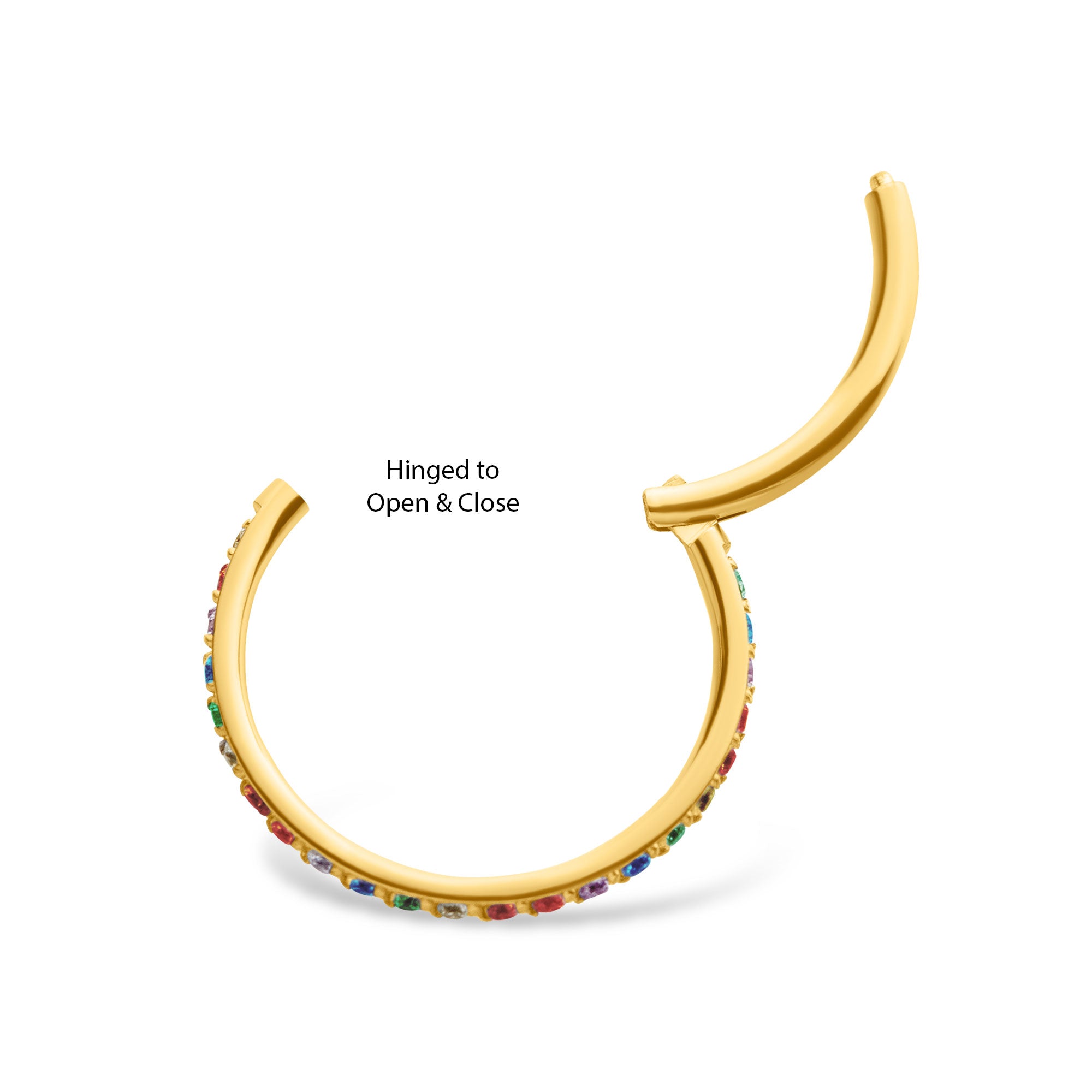 24kt Gold PVD Titanium Rainbow Eternity CZ Side Facing Hinged Segment Clicker