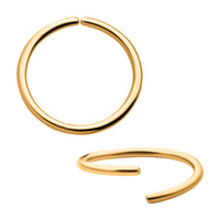 24Kt Gold PVD Titanium Seamless Split Ring
