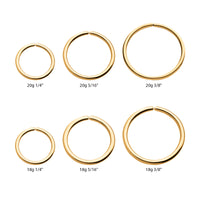 24Kt Gold PVD Titanium Seamless Split Ring