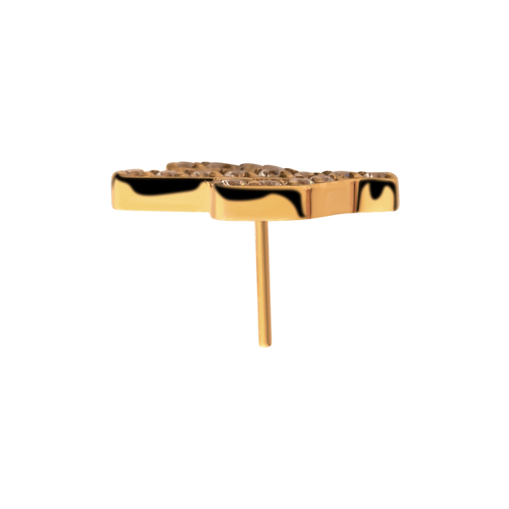 24kt Gold PVD Titanium Threadless Prong Set CZ Cactus Top