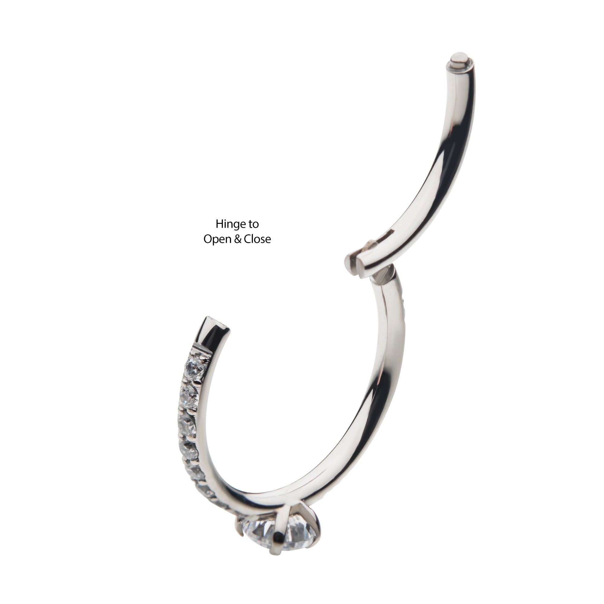 Titanium Centerpiece Round Clear CZ Eternity Side Facing Hinged Segment Clicker